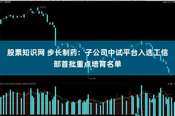 股票知识网 步长制药：子公司中试平台入选工信部首批重点培育名单