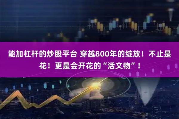 能加杠杆的炒股平台 穿越800年的绽放！不止是花！更是会开花的“活文物”！