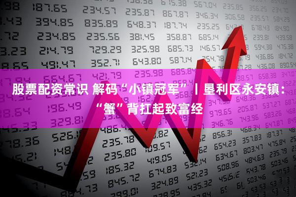 股票配资常识 解码“小镇冠军”丨垦利区永安镇：“蟹”背扛起致富经